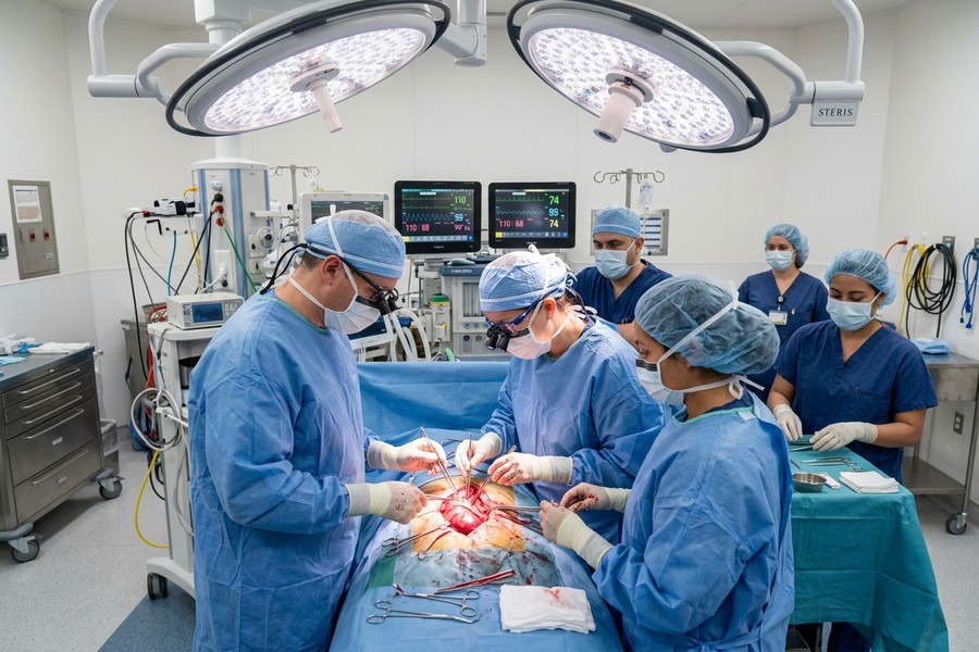 Organ transplant